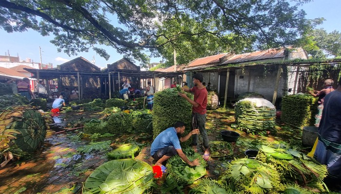 ​পানচাষিদের মাথায় হাত