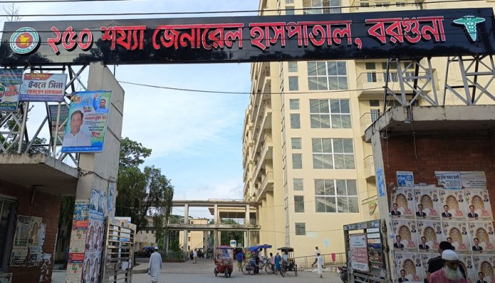 বরগুনায় ডেঙ্গুতে ৪৫ প্রাণহানি