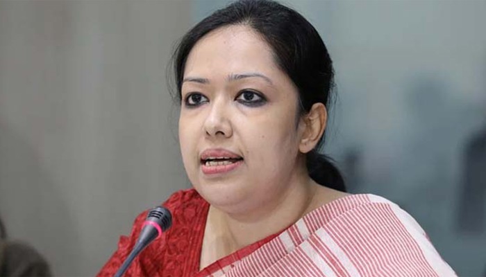 ​জামায়াতের হাত ধরেও আ. লীগের পুনর্বাসন হতে পারে : রুমিন