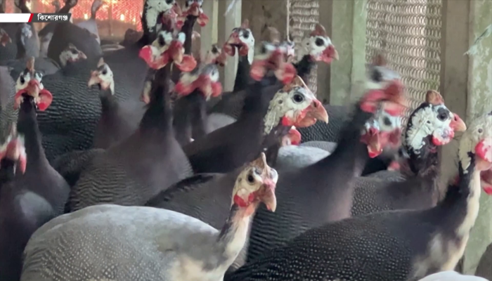 শত যুবকের প্রেরণা তিতির মাসুদ!