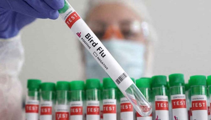 ফের মাথাচাড়া দিয়েছে বার্ড ফ্লু, আক্রান্ত হয়েছে ৪ শিশু