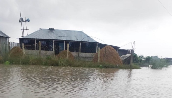 ​ফের বেড়েছে পদ্মার পানি, বিপাকে ১৫ চরের মানুষ