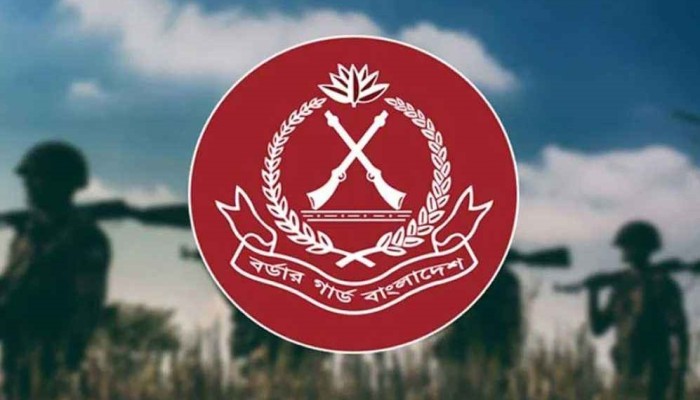 অবৈধ আগ্নেয়াস্ত্র অনুপ্রবেশ করানোর অপচেষ্টার শঙ্কা