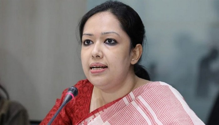 ​ফেব্রুয়ারিতে নির্বাচন নিয়ে ধোঁয়াশা দেখছেন রুমিন