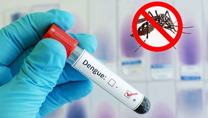 ​ডেঙ্গুতে আরও ৫ মৃত্যু