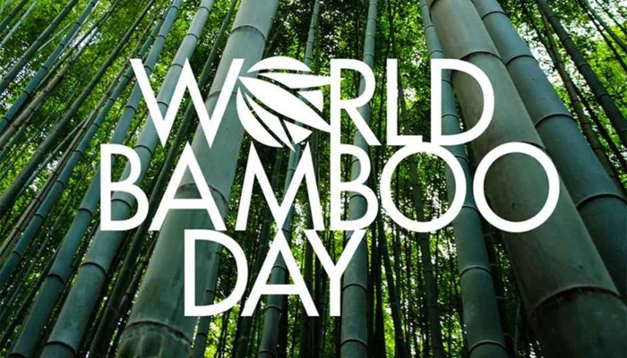 ​আজ বিশ্ব বাঁশ দিবস