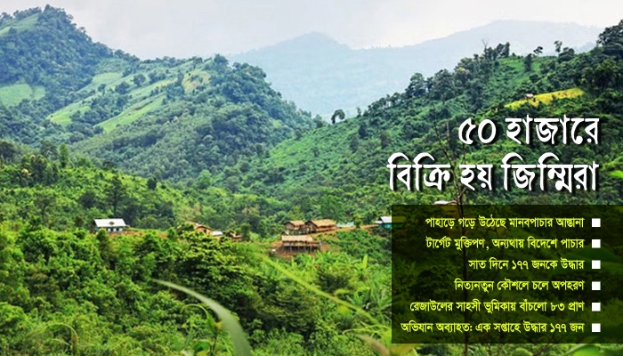 ​৫০ হাজারে বিক্রি হয় জিম্মিরা