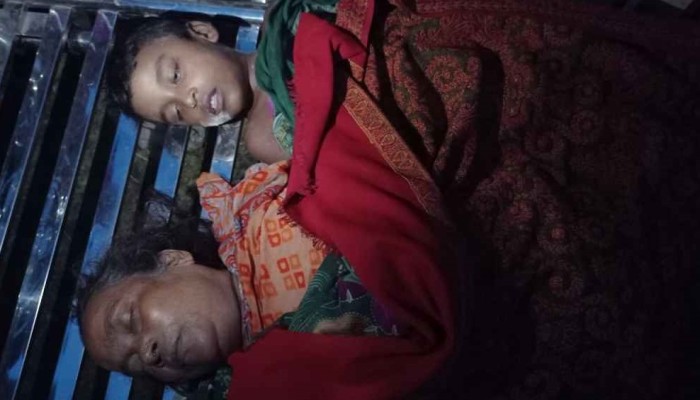 ​পানিতে ডুবে দাদি-নাতি নিহত, নিখোঁজ আরেক নাতি