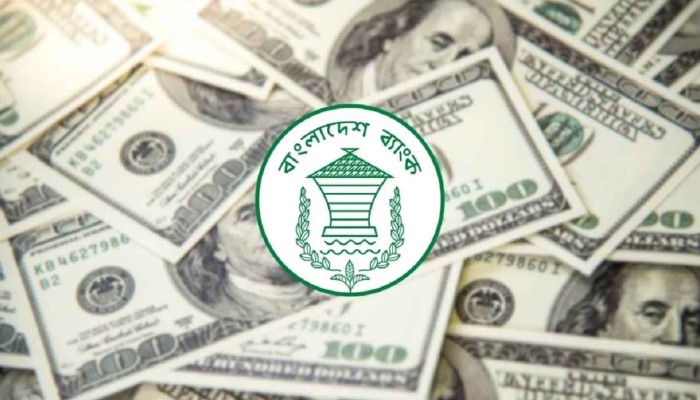 ২৪ দিনে রেমিট্যান্স এলো ২২৩ কোটি ডলার