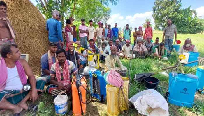 সার সংকটে হতাশ পেঁয়াজ চাষিরা