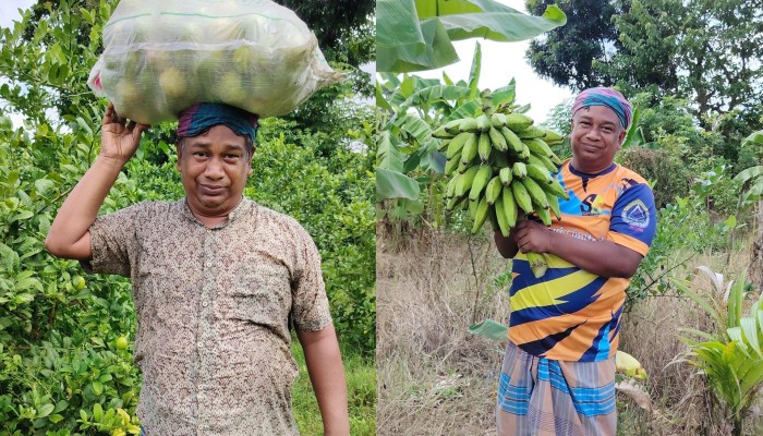 ​মাটির টানে চাষাবাদে আব্দুল্লাহ