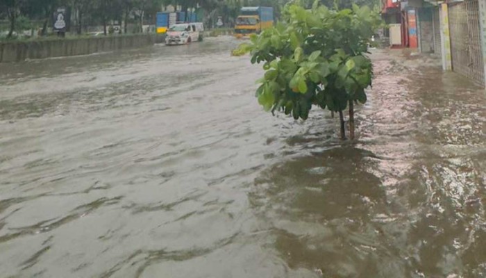 ​ঢাকায় ২০৬ মিলিমিটার বৃষ্টি, বজ্রসহ আরো বৃষ্টির আভাস
