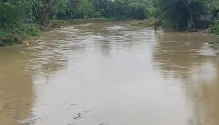​মুহুরী নদীর পানি বিপৎসীমা ছুঁইছুঁই