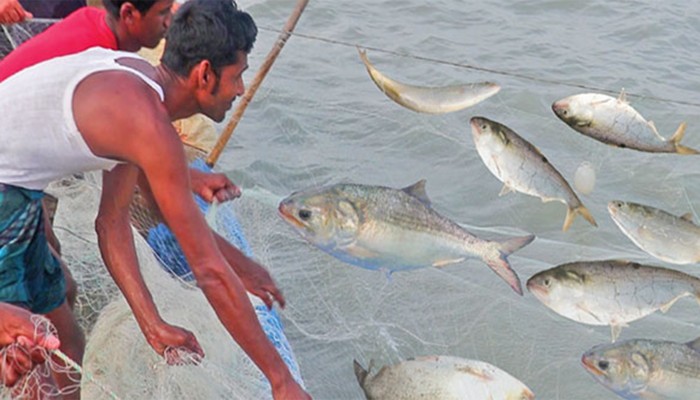 ​ইলিশ শিকার বন্ধ ২২ দিন