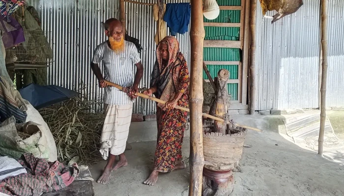 ​বুক দিয়ে ঘানি টেনে সংসার চালান ষাটোর্ধ্ব দম্পতি