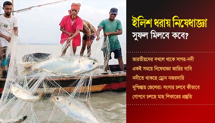 ​ইলিশ ধরায় নিষেধাজ্ঞা: সুফল মিলবে কবে?