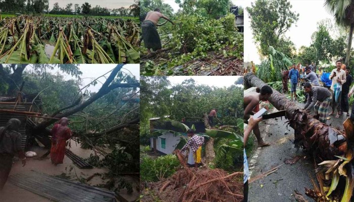 ​ঝড়ের তাণ্ডবে লন্ডভন্ড নওগাঁ