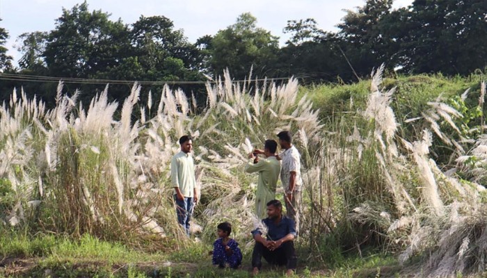 ​সাদা মেঘের রাজ্য