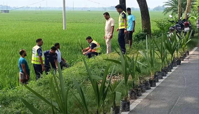 ​বজ্রপাত প্রতিরোধে তাল গাছের চারা রোপণ করল পুলিশ
