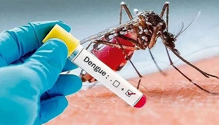 ​ডেঙ্গুতে আরও ৬ মৃত্যু