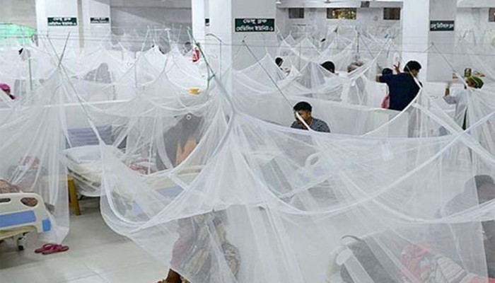 ​ডেঙ্গুতে ৩ জনের মৃত্যু