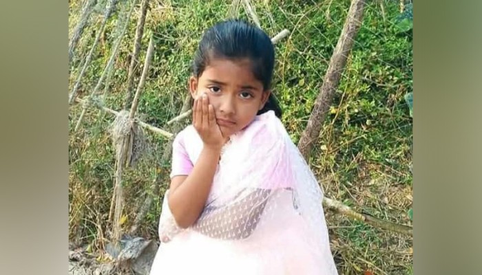 ​১০ বছর আগে ভাবিকে গলাকেটে হত্যা, এবার ভাতিজিকে পিটিয়ে হত্যা