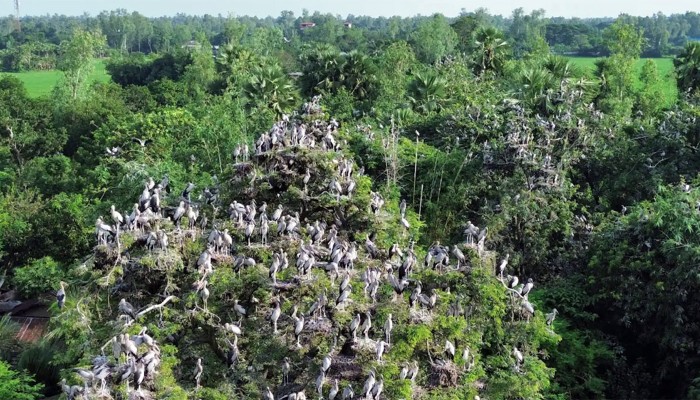 ​পাখির অভয়ারণ্য কানাইপুকুর গ্রাম