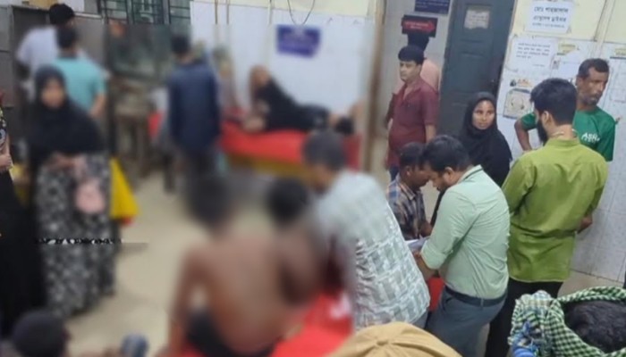 ​মৌমাছির চাকে স্কুল শিক্ষাথীদের ঢিল, হাসপাতালে ভর্তি ৬