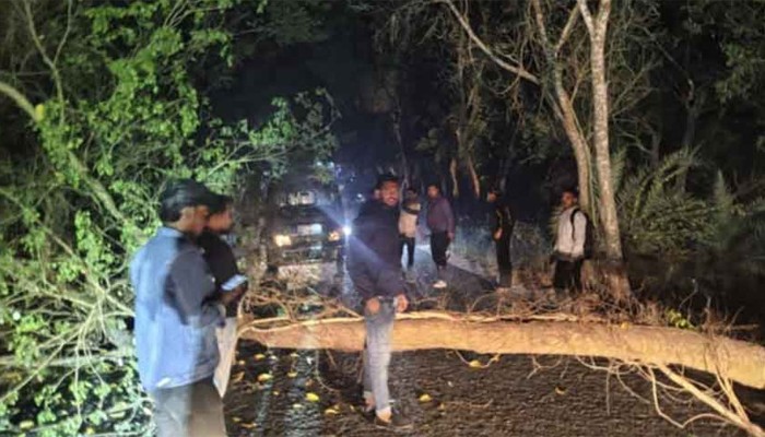 ​ডাকাত আতঙ্কে পোরশাবাসি