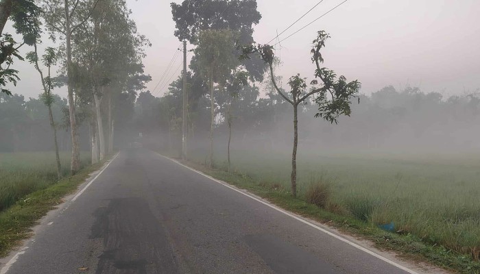 ​নীলফামারীতে ঘন কুয়াশায় হেডলাইট জ্বালিয়ে চলছে যানবাহন