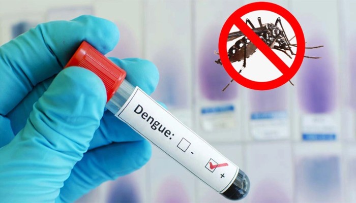 ​ডেঙ্গুতে চারজনের মৃত্যু
