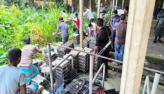 ​হিমাগারে থাকা দুই লাখ পচা ডিম ধ্বংস, জরিমানা তিন লাখ