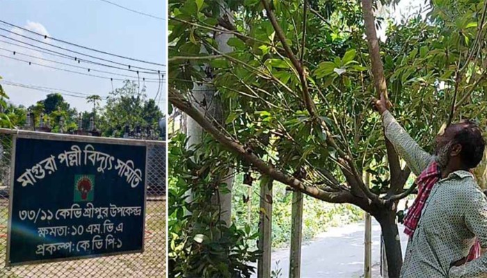 ​অশোভন আচরণের প্রতিবাদ করায় বিদ্যুৎ সংযোগ বিচ্ছিন্নের অভিযোগ