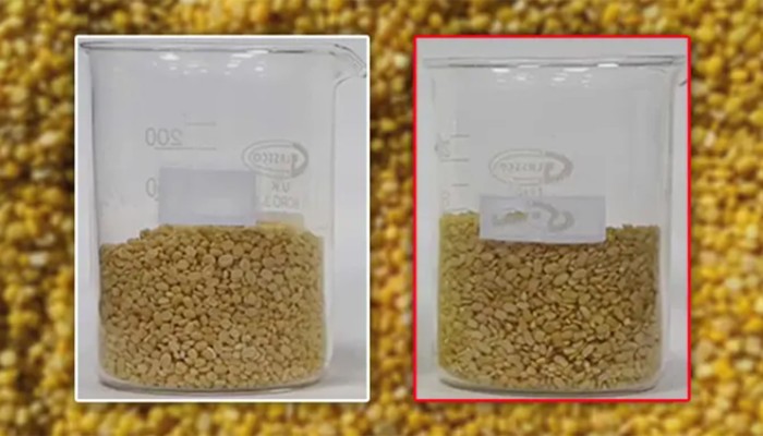 ‘মথ’ ডালে ক্ষতিকর রঙ মিশিয়ে মুগ ডাল বলে বিক্রি