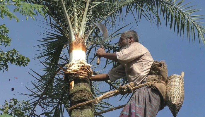দেড়শো কোটির টার্গেটে মাঠে নামছেন গাছিরা!