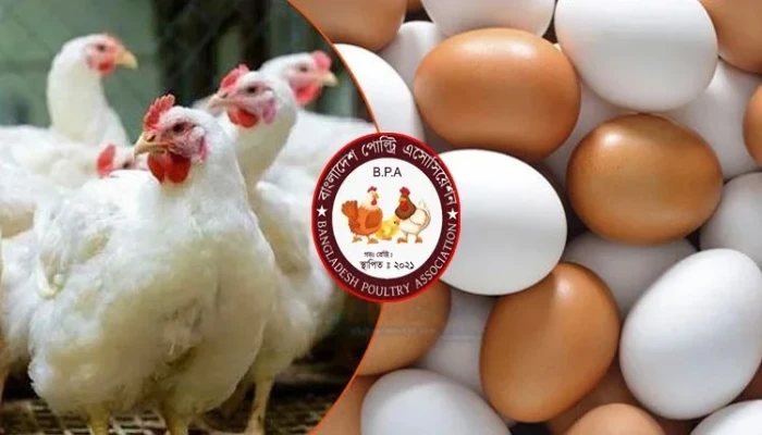সারাদেশে ডিম-মুরগি উৎপাদন বন্ধের হুঁশিয়ারি