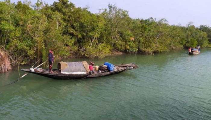​আতঙ্ক বাড়ছে সুন্দরবনে: ৯টি জলদস্যু গ্রুপ সক্রিয়