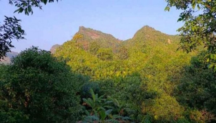 ​পাহাড় থেকে নারী-শিশুসহ ২৫ জন উদ্ধার, আটক এক