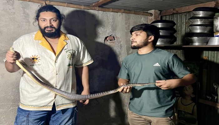 ​রাজধানী জুড়ে সাপের আতঙ্ক: চার মাসে উদ্ধার তিশ শতাধিক