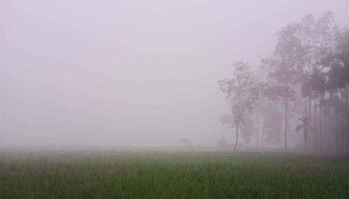উত্তরাঞ্চল দিয়ে শুরু শীত : প্রথম শৈত্যপ্রবাহ ডিসেম্বরে