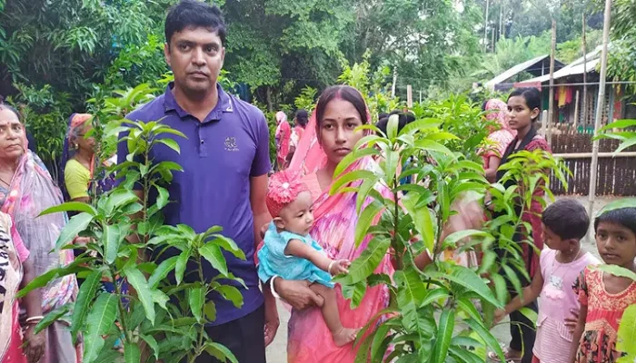 ​বিশুদ্ধ বাতাসে সন্তান লালনে গ্রামজুড়ে গাছের চারা বিতরণ