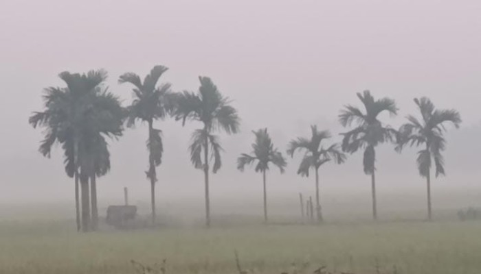 ​কুয়াশায় ঢাকা পঞ্চগড়, তাপমাত্রা নামল ১৪ ডিগ্রিতে