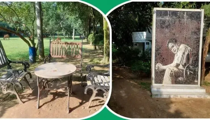 হুমায়ূন আহমেদের জন্মদিনে নুহাশপল্লীতে নানা আয়োজন