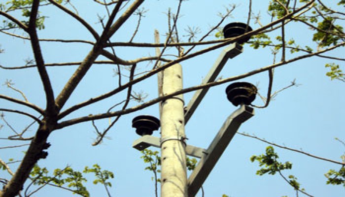 শনিবার ১০ ঘণ্টা বিদ্যুৎ থাকবে না যেসব এলাকায়