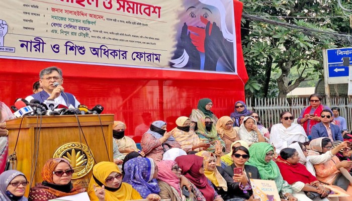 গণভোটের মাধ্যমে সংবিধান সংশোধন হবে না: সালাহউদ্দিন আহমদ