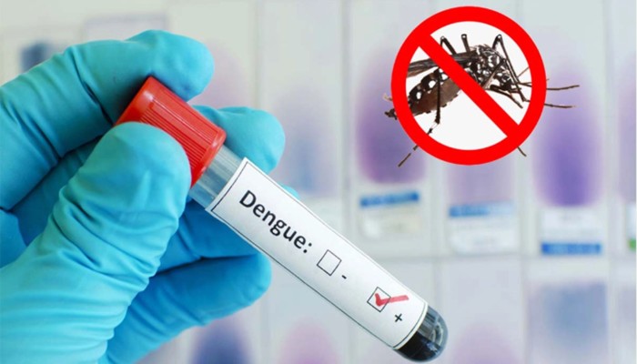 ​ডেঙ্গুতে আরও ৫ প্রাণ গেল