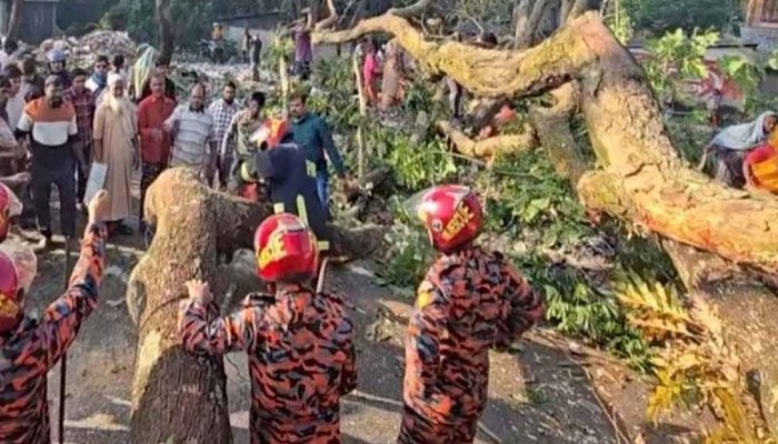 গাছ ফেলে ঢাকা-বরিশাল মহাসড়ক অবরোধ