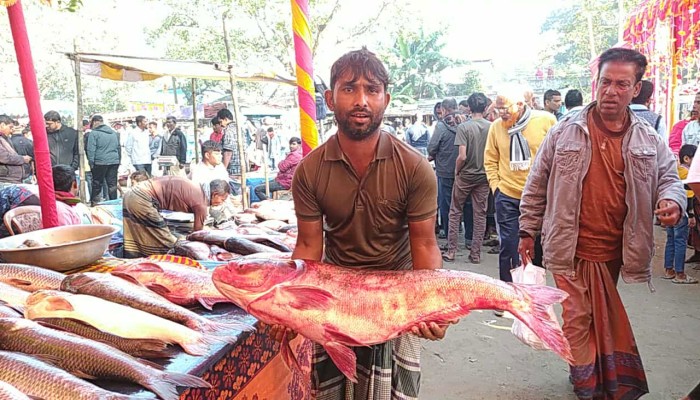 নবান্নকে ঘিরে বগুড়ায় মাছের মেলা