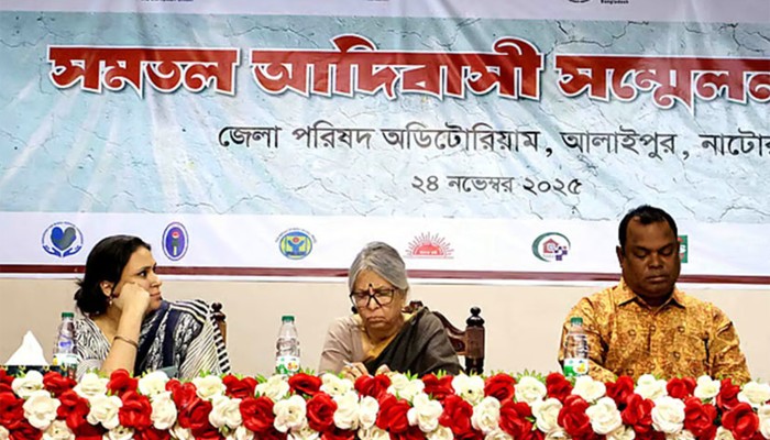 ​মানবাধিকার লঙ্ঘিত হলেই দেশে শান্তি লঙ্ঘিত হবে: সুলতানা কামাল