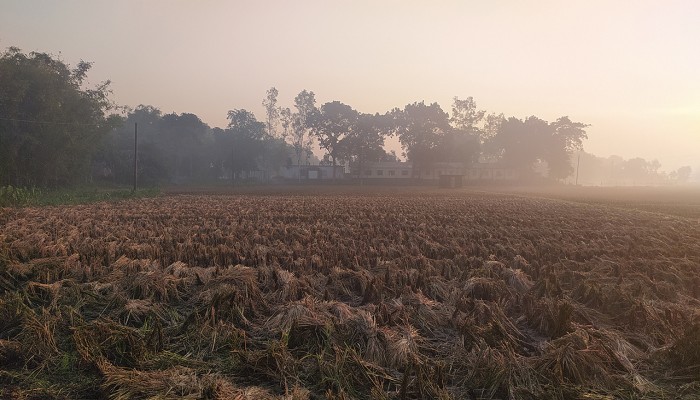 ​পঞ্চগড়ে জেঁকে বসেছে শীত, তাপমাত্রা নামল ১২ ডিগ্রিতে